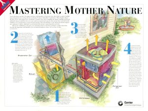 Masterin Mother Nature - Barry Ross Art
